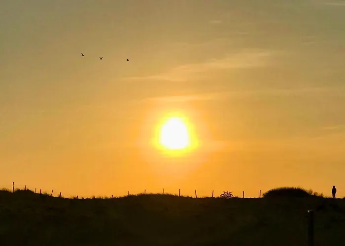 Au Pied Des Dunes Avec Piscine Lägenhet